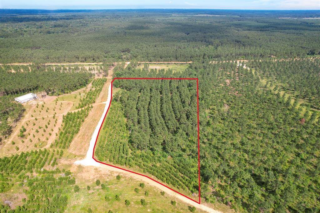 Livingston, TX 77351,0000 Richardson RD E