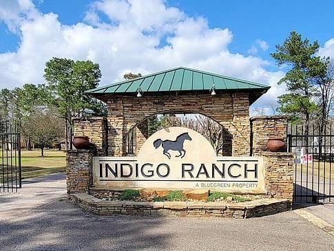 Magnolia, TX 77355,17819 Indigo Hills DR