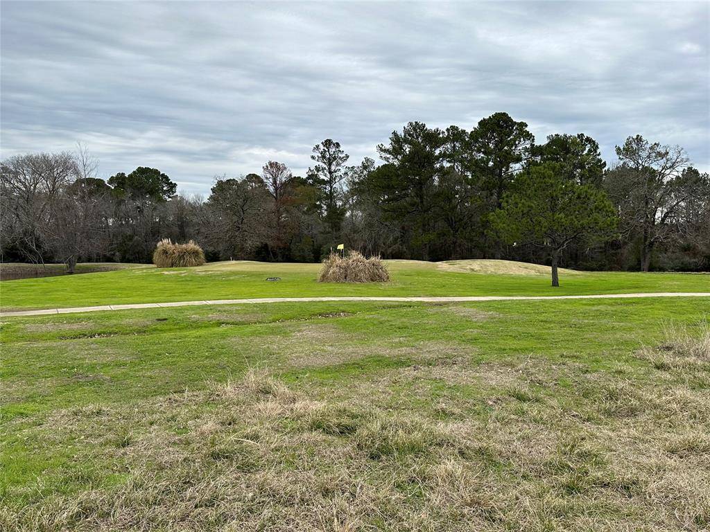 Trinity, TX 75862,Lot 13 Hot Springs DR