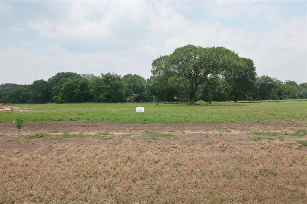 Smithville, TX 78957,Lot 19 Hydrangea DR