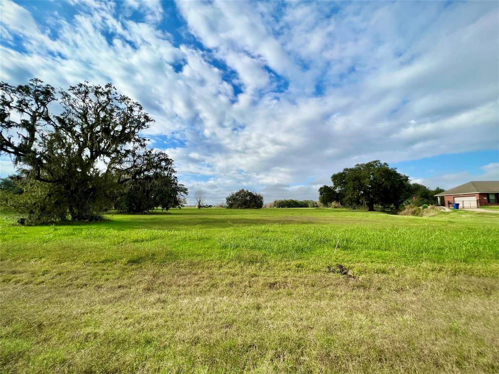 Angleton, TX 77515,1744 Flintlock CT