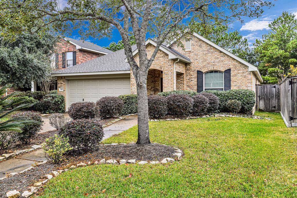 Katy, TX 77494,9006 Necklace Tree LN