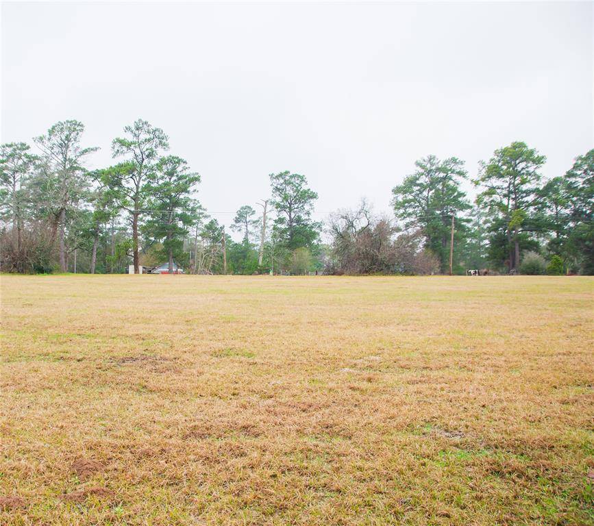 Navasota, TX 77868,Lot 1 Highway 105 E