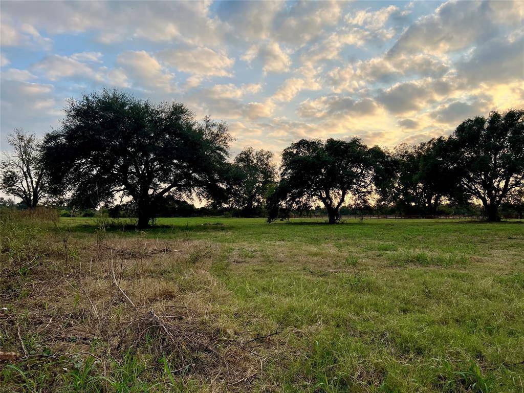 Sealy, TX 77474,0000 River Ridge RD