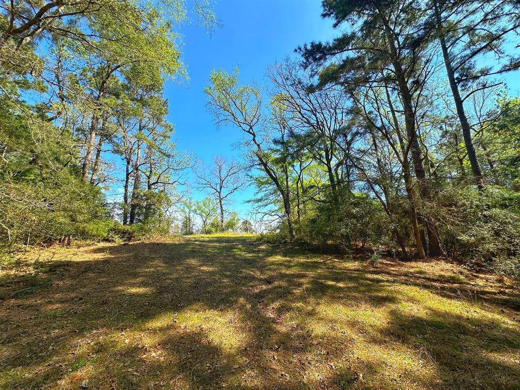 Centerville, TX 75833,751 CR 121
