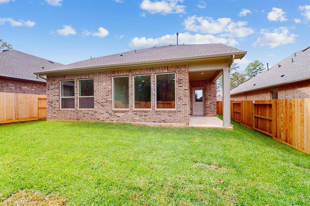 Willis, TX 77318,412 Buff Beauty CT