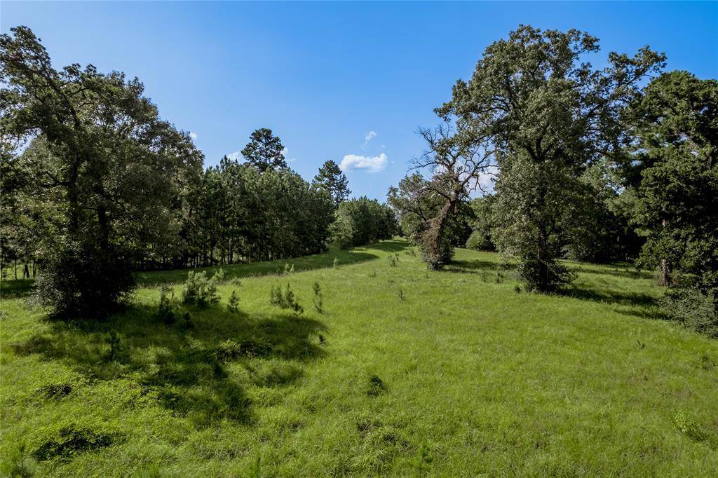 Trinity, TX 75862,Lot 3 and 4 Bay Tree ST