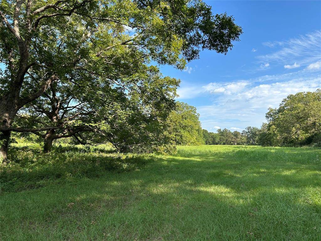 Brenham, TX 77833,0000 TX-105