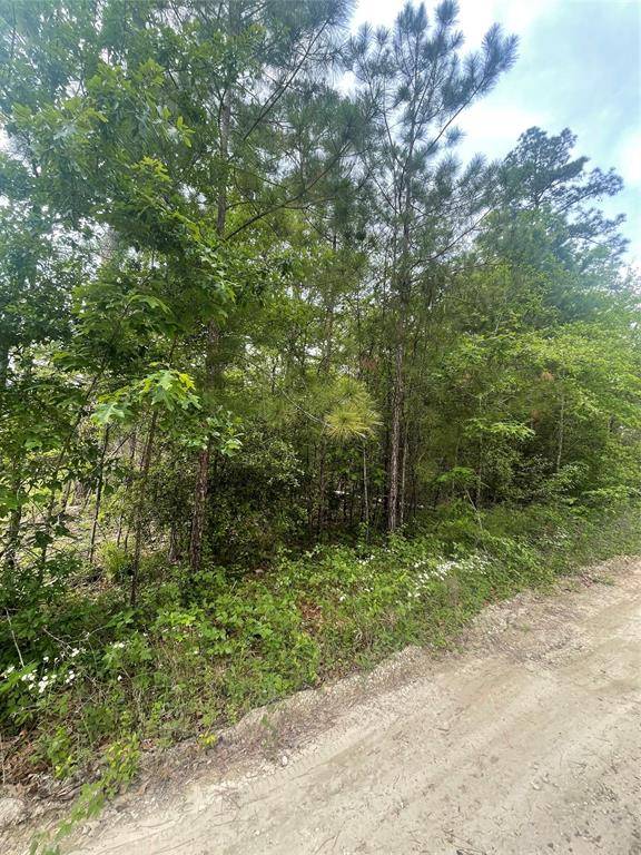 Montgomery, TX 77356,TBD Holly Drive -lot 175