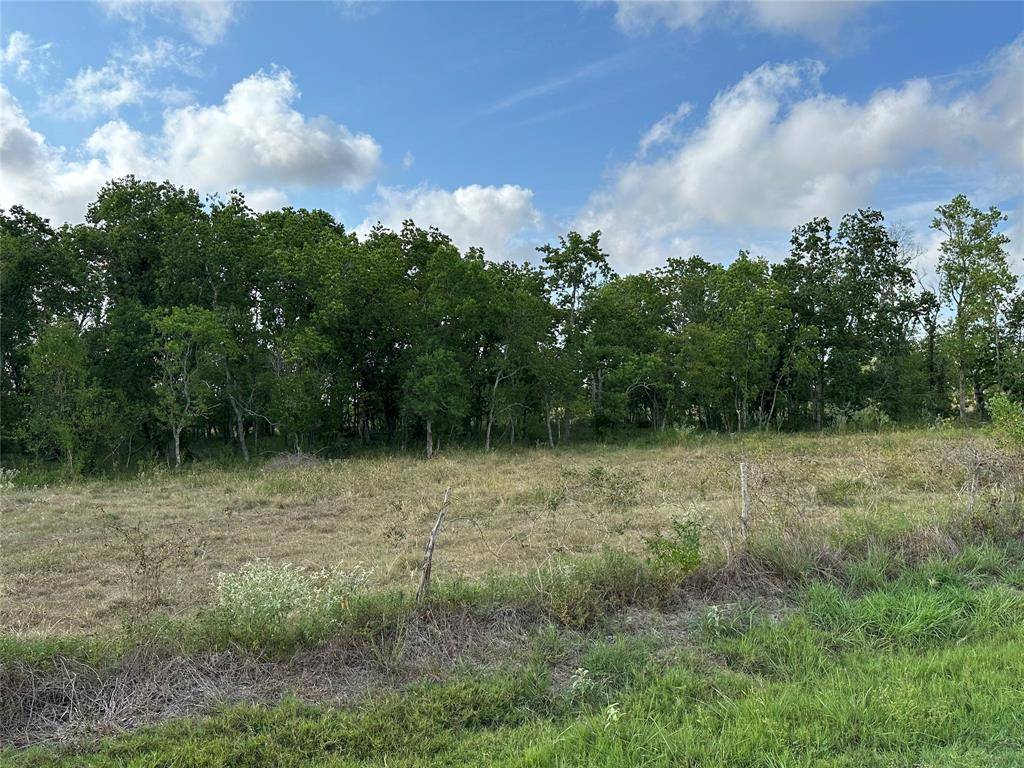 Needville, TX 77461,TBD05 Beard RD