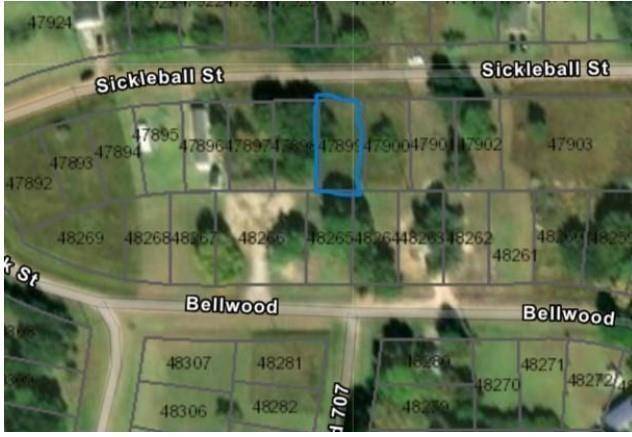 Palacios, TX 77465,Lot 1033 Sickleball ST