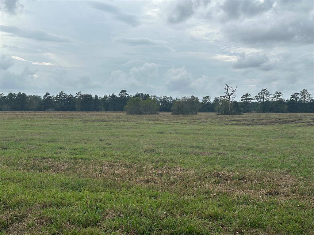 Buna, TX 77612,TBD County Road 3114