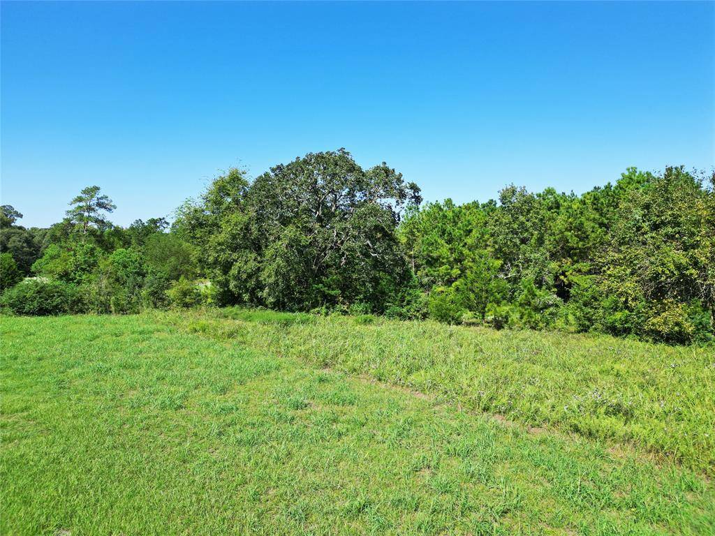 New Waverly, TX 77358,TBD Rogers RD