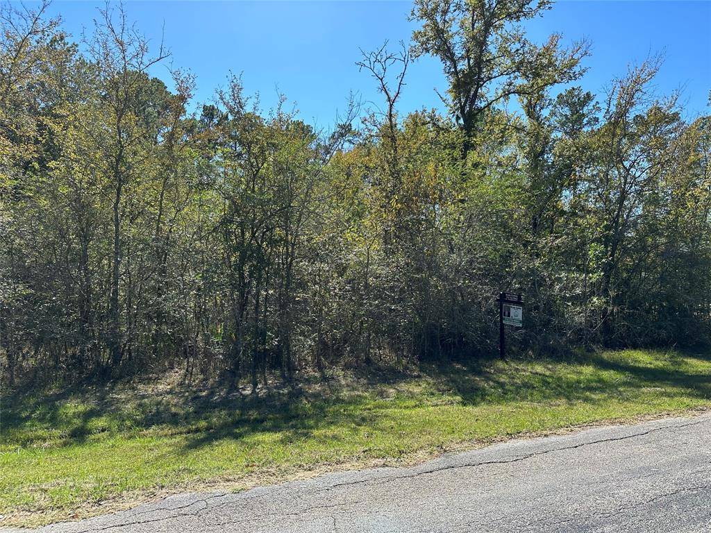 Onalaska, TX 77360,Lot 31 Angus