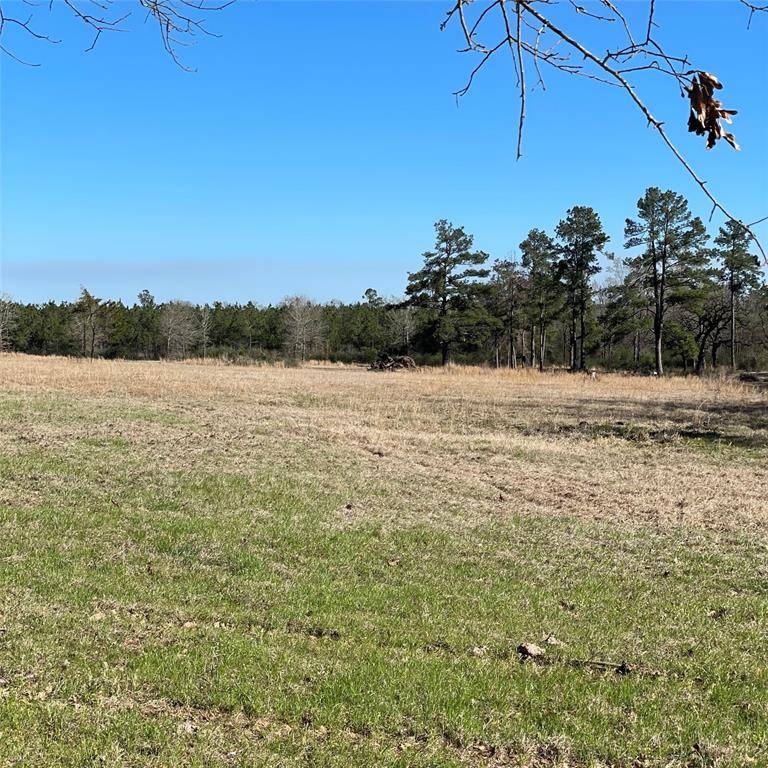 Lovelady, TX 75851,TBD County Road 3450b