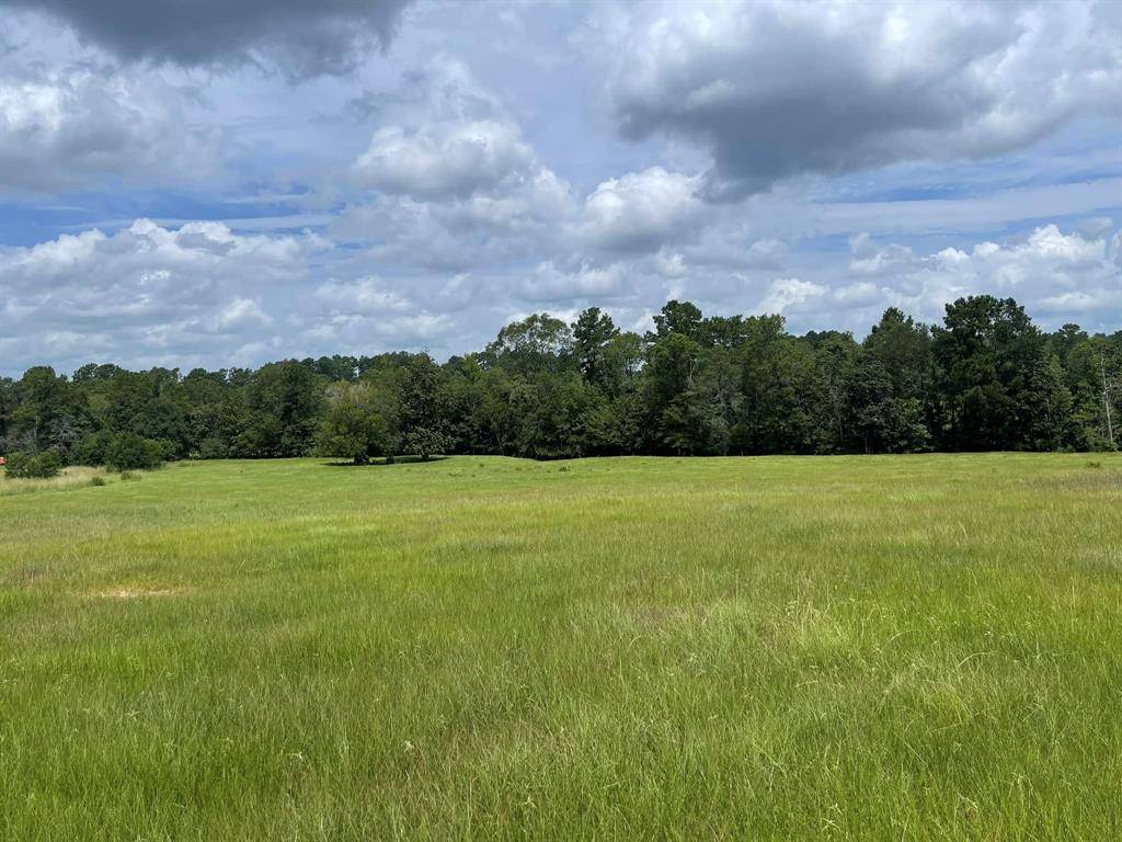 Hillister, TX 77624,TBD Lakeland Ranch Lot 267