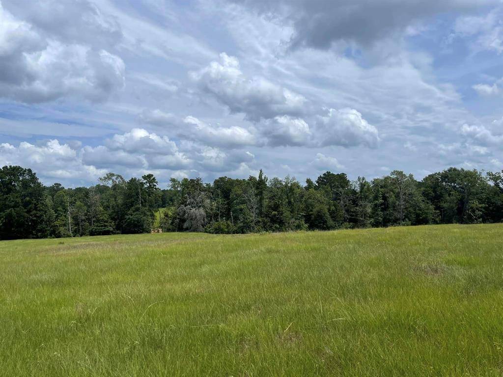 Hillister, TX 77624,TBD Lakeland Ranch Lot 267