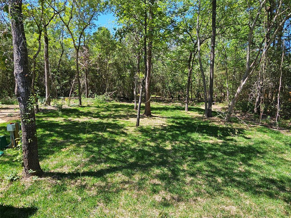 Willis, TX 77378,14942 Colt LN