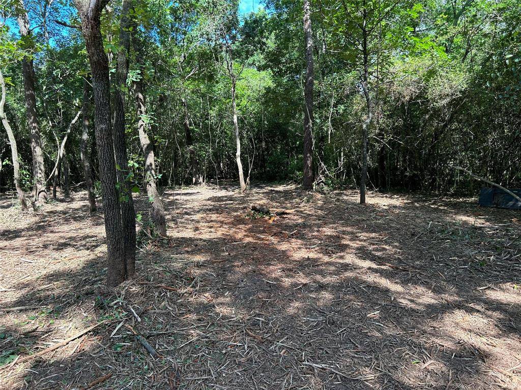 Willis, TX 77378,14942 Colt LN