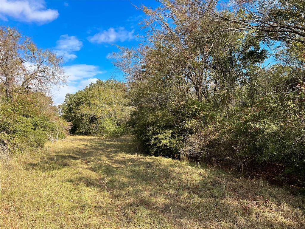 Groesbeck, TX 76642,TBD A County Road 800