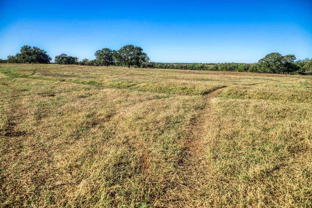 Brenham, TX 77833,08 Sawmill Road Tract 8