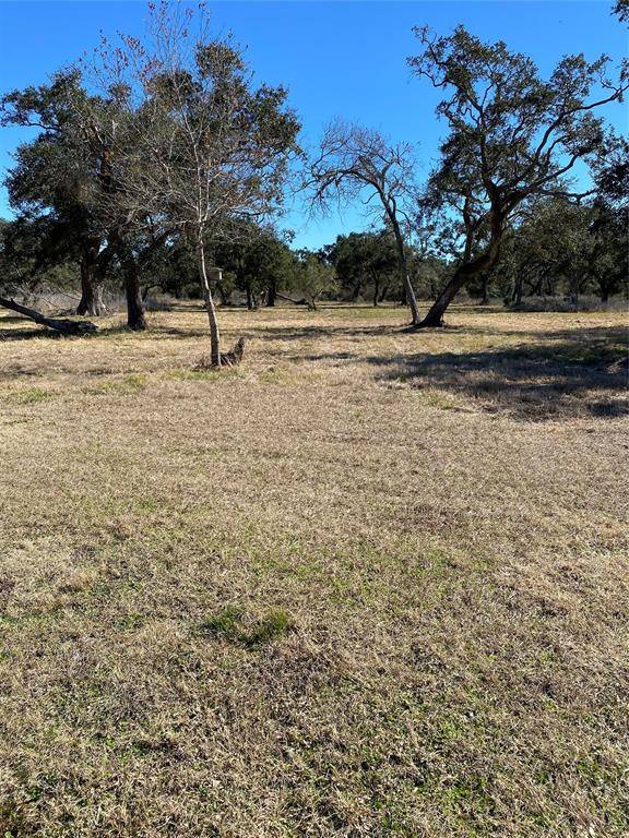 Cedar Lake, TX 77414,Tract 2 Private Road 648 ST