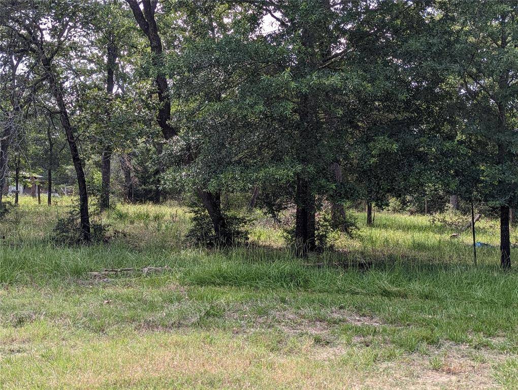 Somerville, TX 77879,TBD Bengals Bend Lot 313