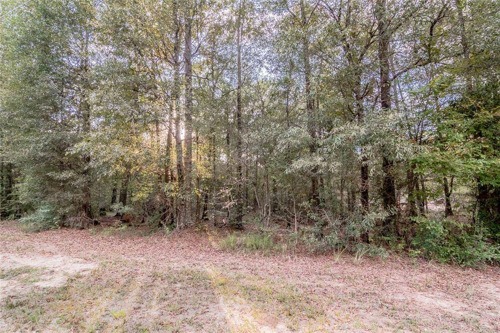 Livingston, TX 77351,Lot 219 Ramblewood