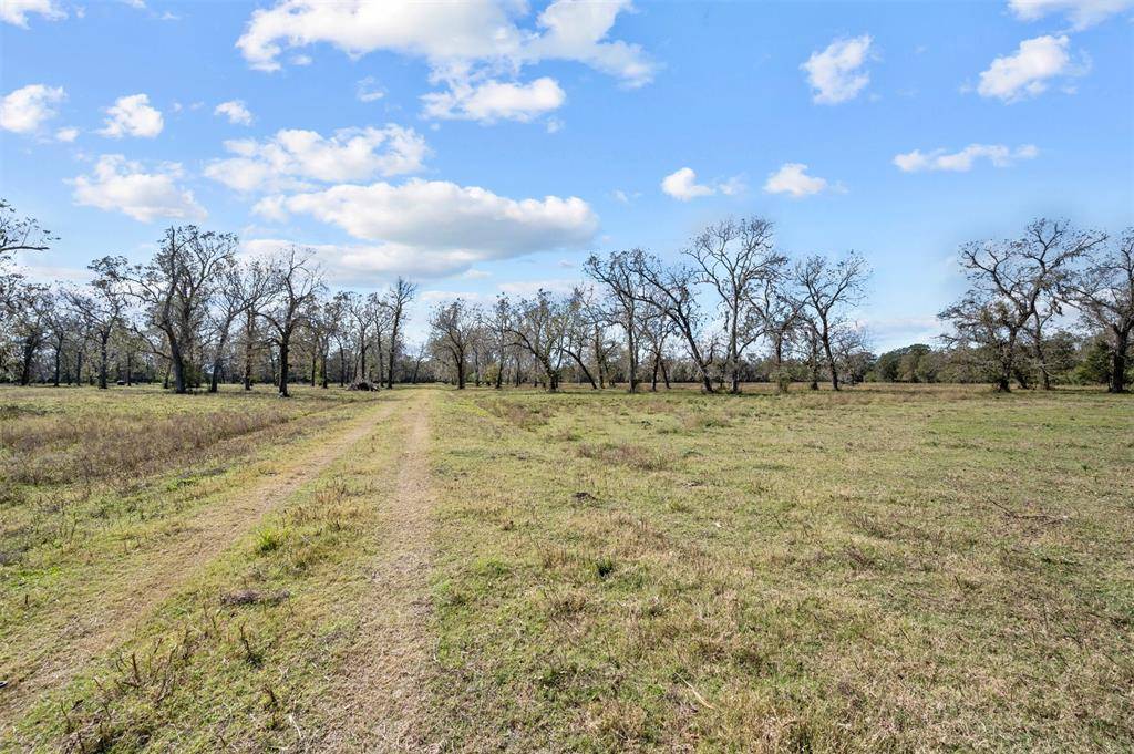 Boling, TX 77420,0 Mackhank RD