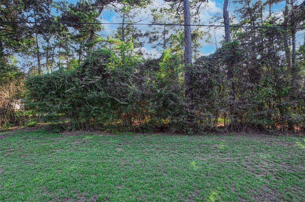 Magnolia, TX 77355,0000 Baneberry