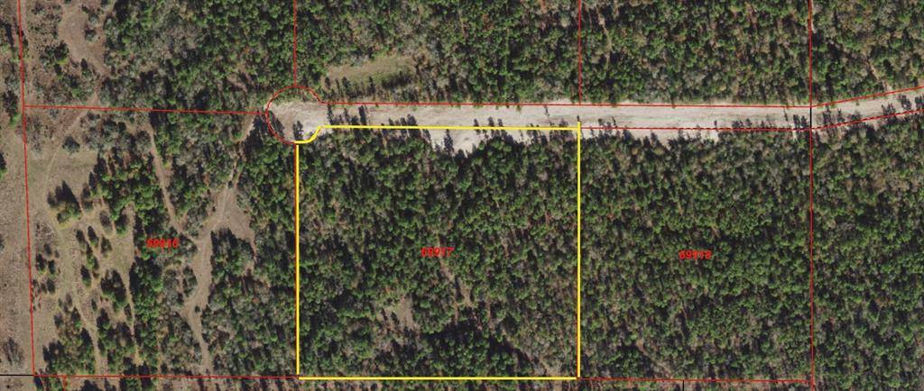 Huntsville, TX 77320,TBD Westview - 20 Acres