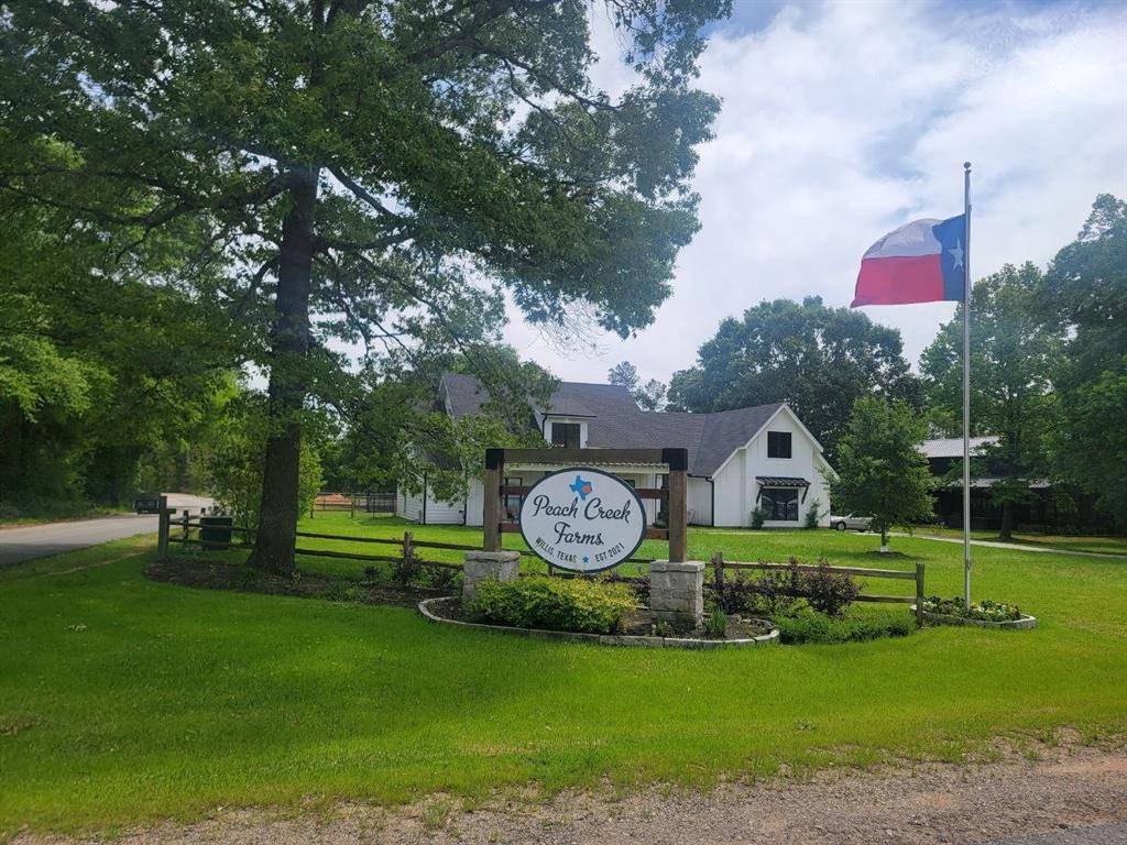 Willis, TX 77378,51 Quiet Springs TRL