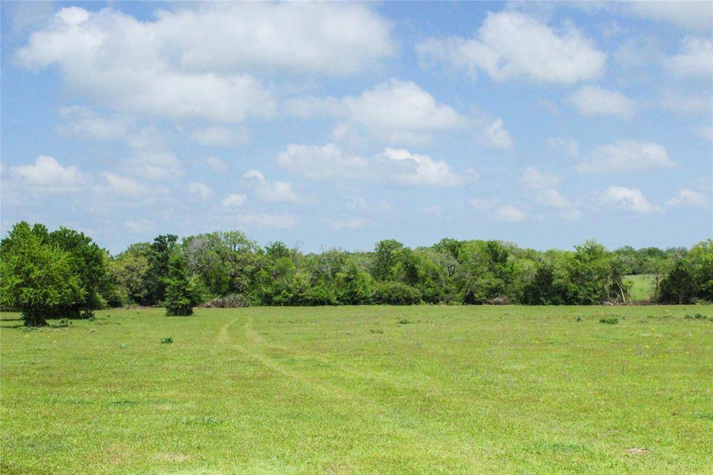 Bedias, TX 77831,0040 County Road 229