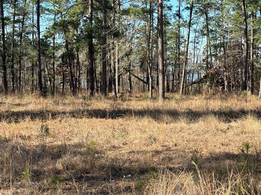Brookeland, TX 75931,TBD28 Private Road 6028
