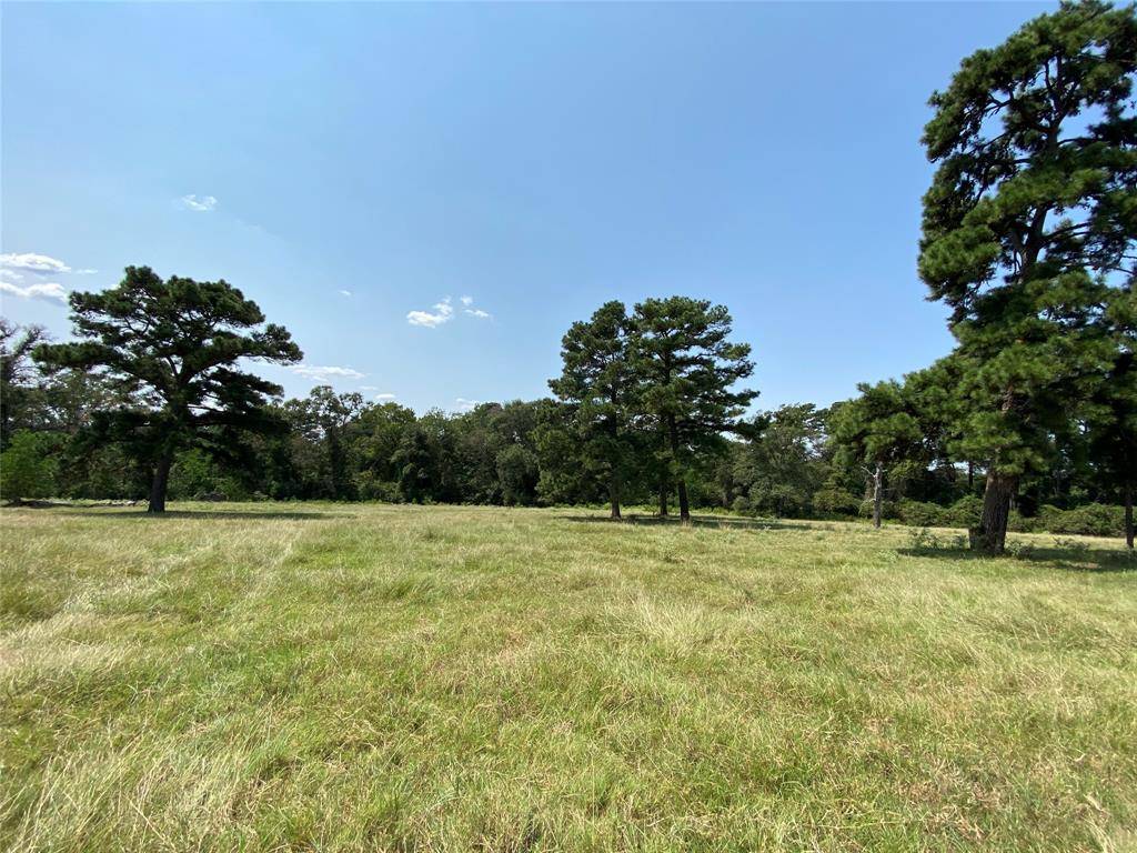 Navasota, TX 77868,5222 County Road 306