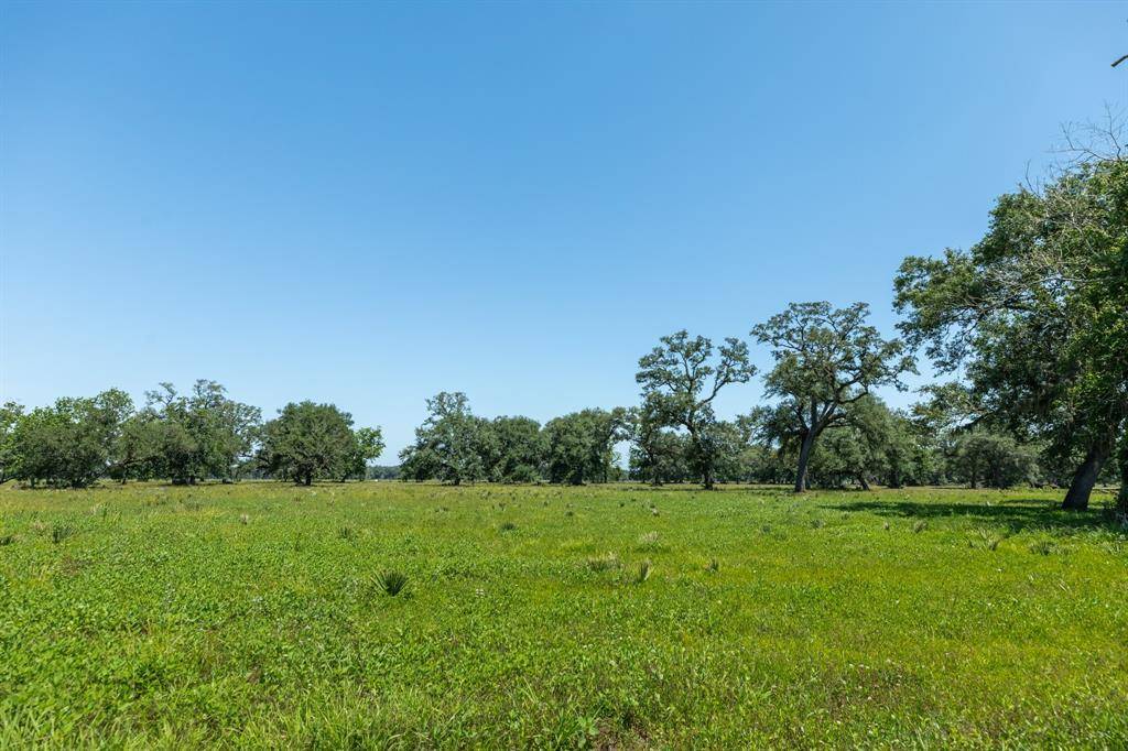 Van Vleck, TX 77482,425 Valley Oaks Drive