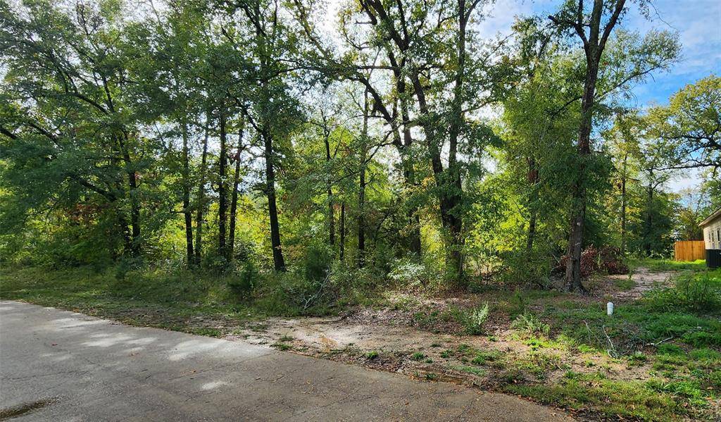 Livingston, TX 77351,00 Candlelight LN