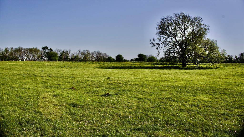 Hempstead, TX 77445,TBD 2 Fm 1887 RD