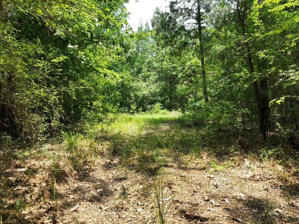 Coldspring, TX 77331,TBD2 Trail Ride RD