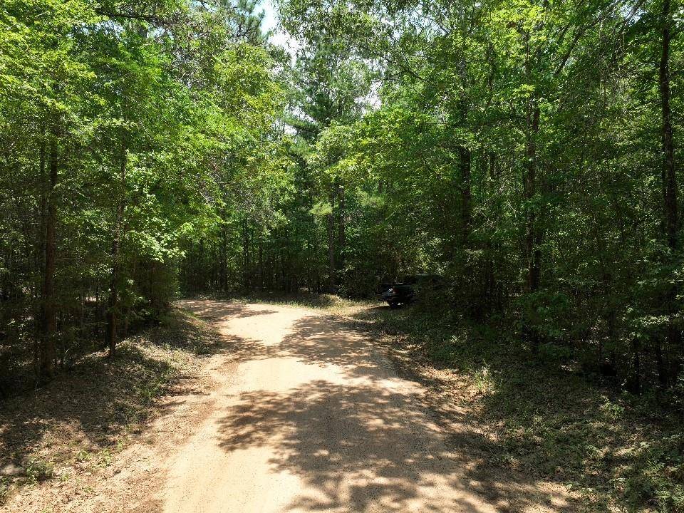 Coldspring, TX 77331,TBD2 Trail Ride RD