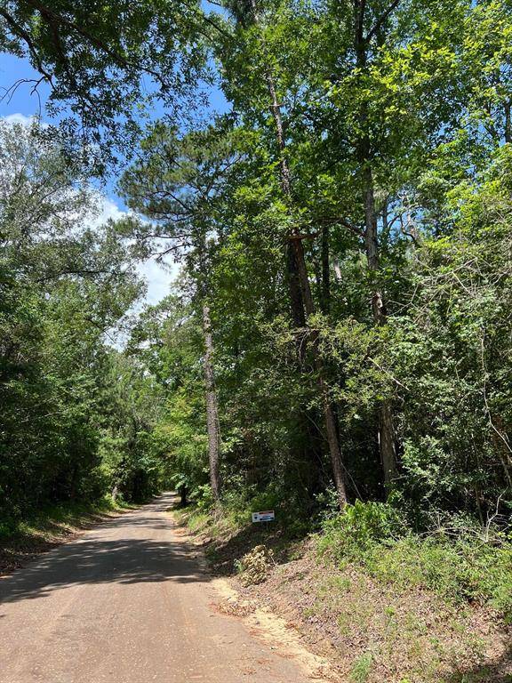 Jasper, TX 75951,TBD County Road 87