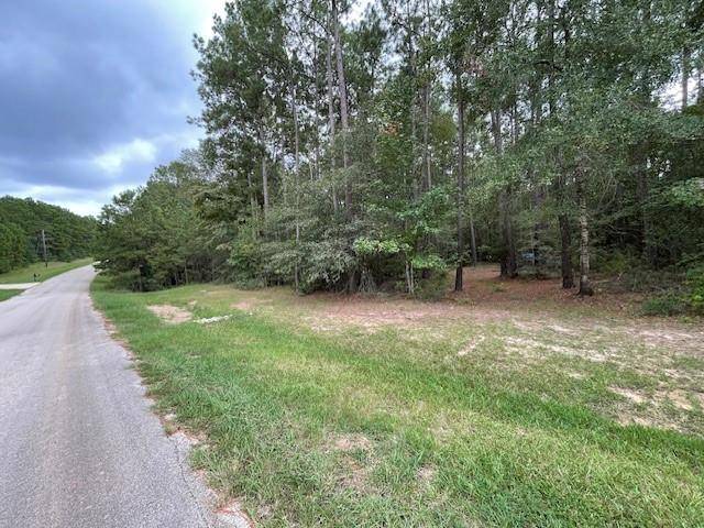 Anderson, TX 77830,0 Amelia DR