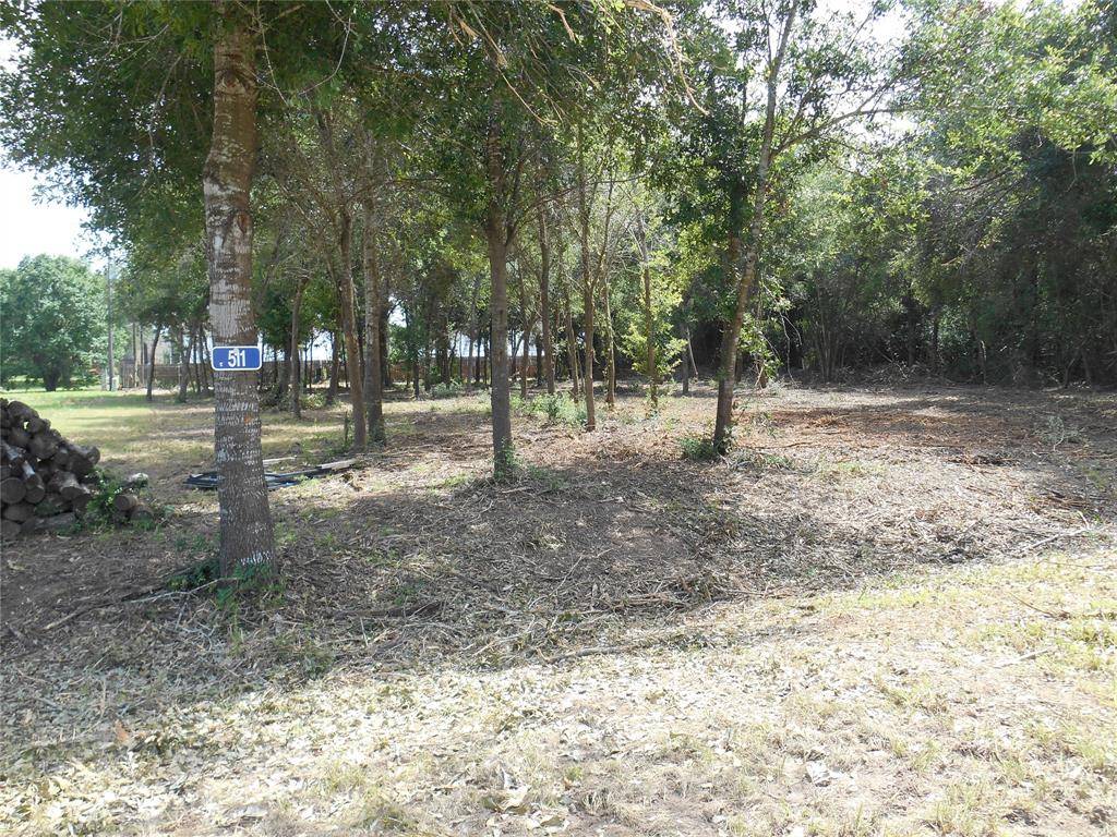 Prairie View, TX 77484,511 Marigold DR