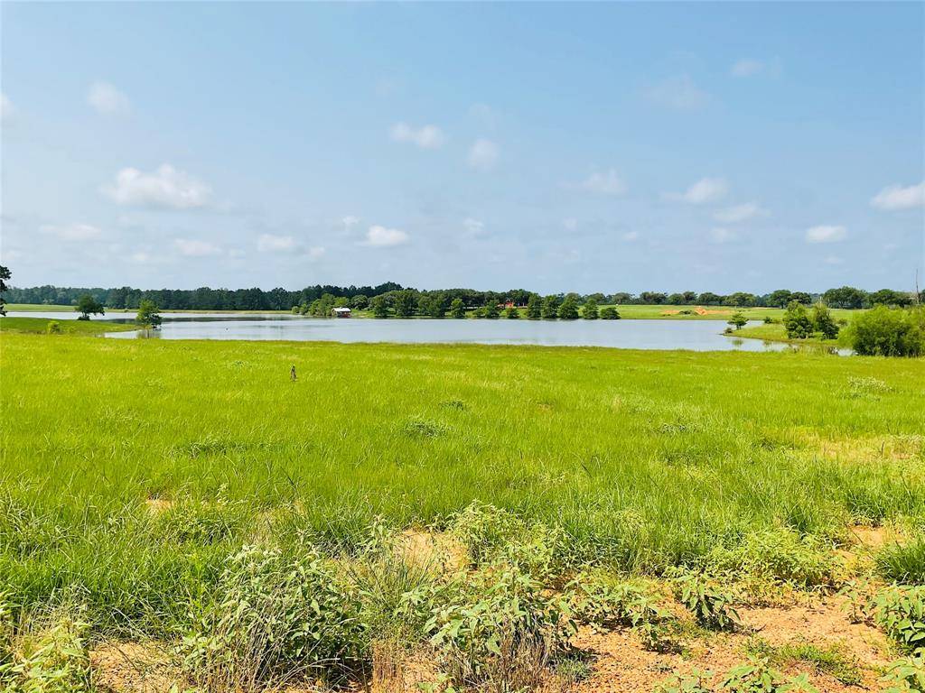 Hillister, TX 77624,TBD LAKELAND LOOP, Lot 71