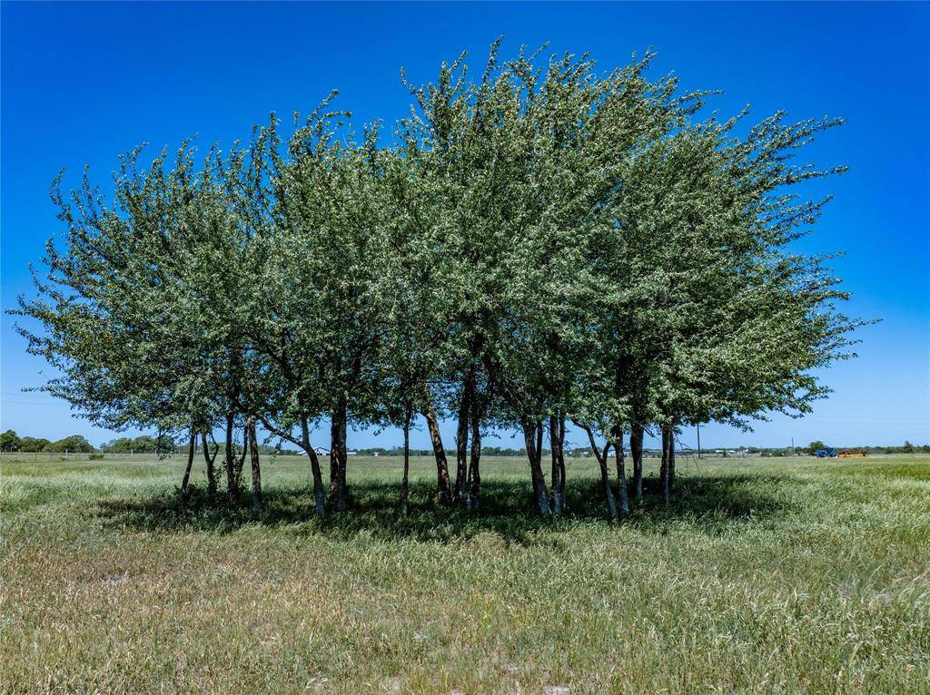 Ledbetter, TX 78946,7267 Meiners Rd