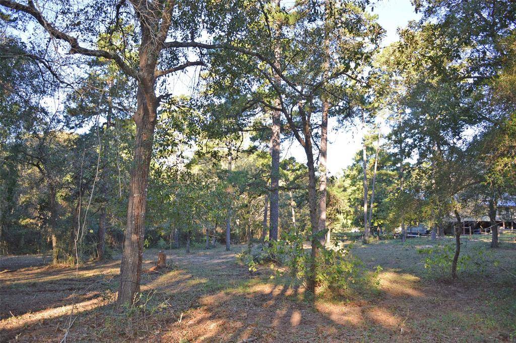 Plantersville, TX 77363,0003 Mata Rd