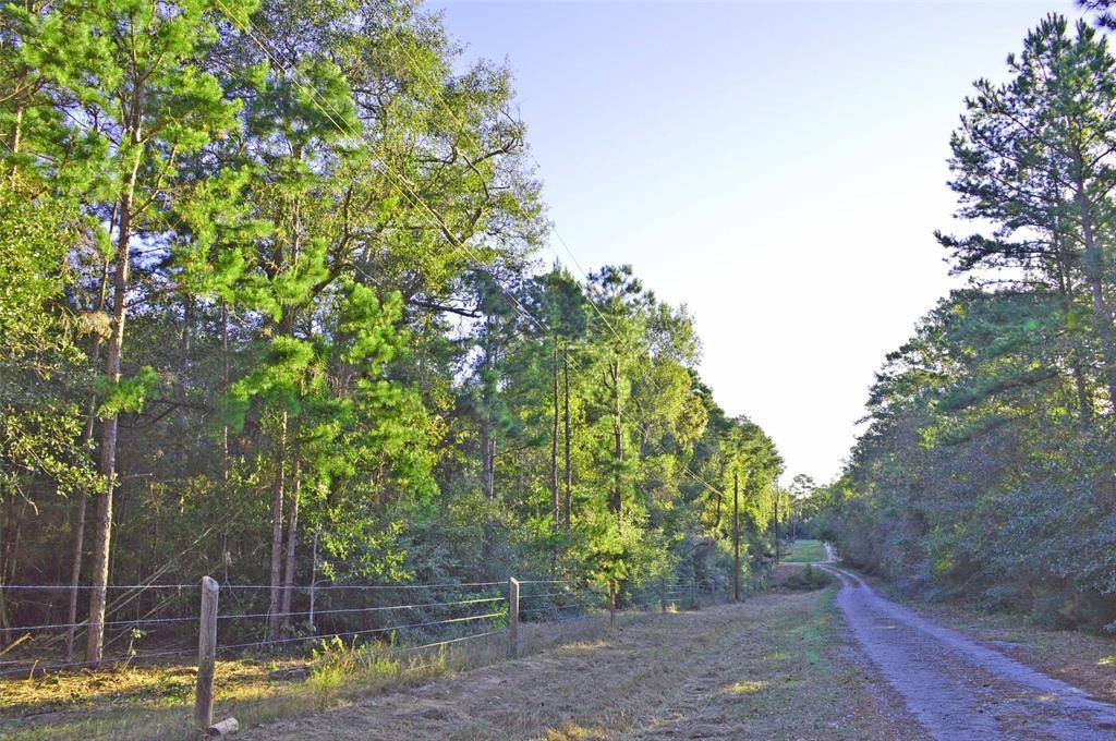 Plantersville, TX 77363,0003 Mata Rd