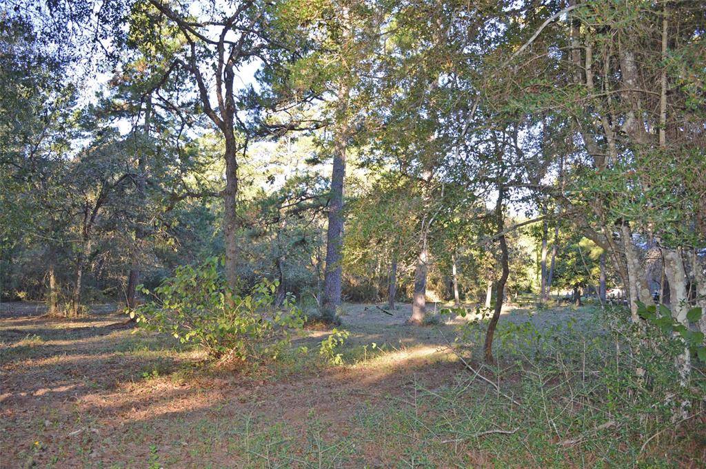 Plantersville, TX 77363,0003 Mata Rd