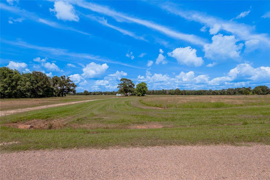 Trinity, TX 75862,Lot 15 Jonesboro PL