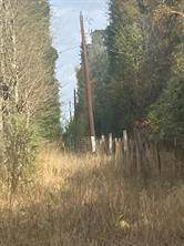 Hockley, TX 77447,TBD Tepee TRL
